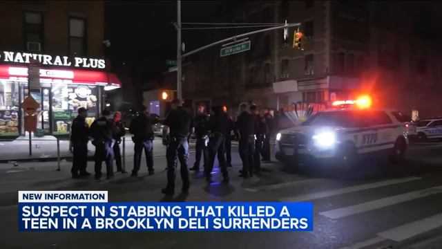 Suspect surrenders after woman killed, twin sister wounded in Brooklyn смотреть онлайн