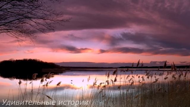 Настя нехотя шла домой, ведь там её ждала свекровь. И подойдя к дому, она застыла на месте... смотреть онлайн