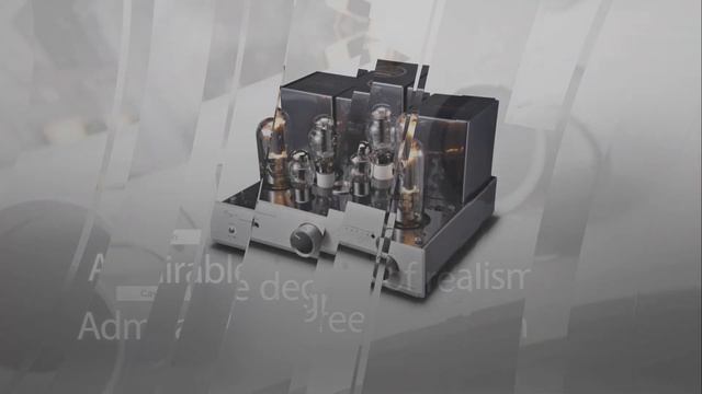 Cayin CS - 845 A   Reference  .   Feel Your Music