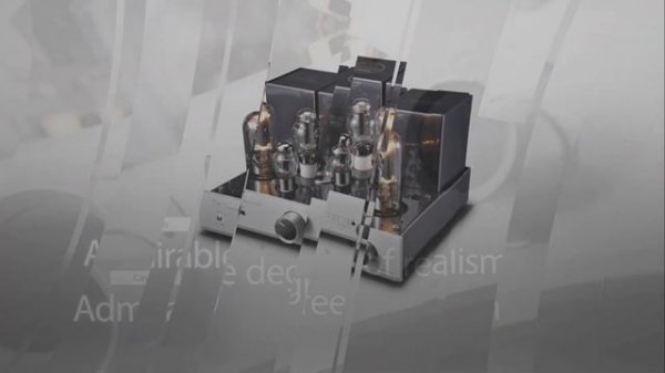 Cayin CS - 845 A   Reference  .   Feel your music