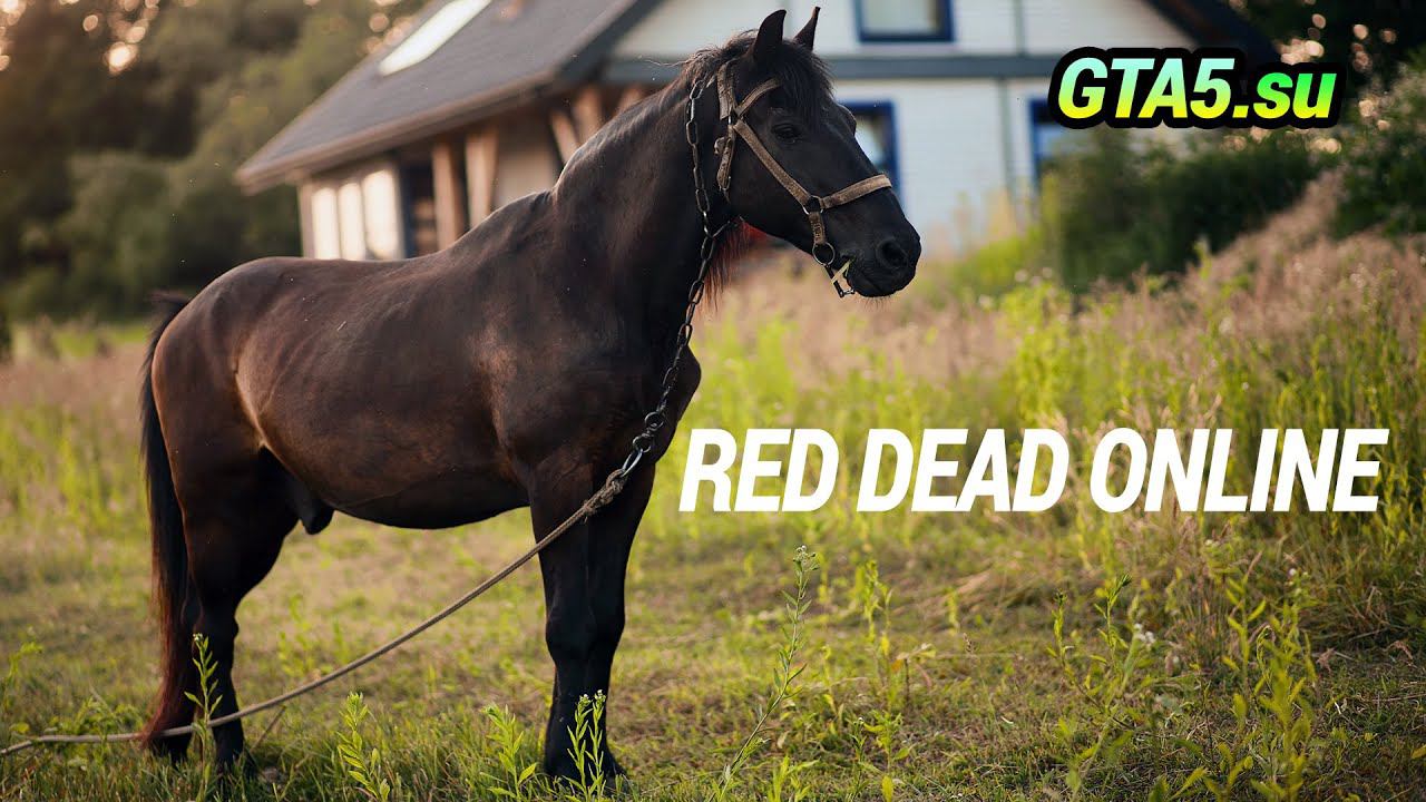 Red Dead Redemption 2023  Red Dead Online от Rockstar Games