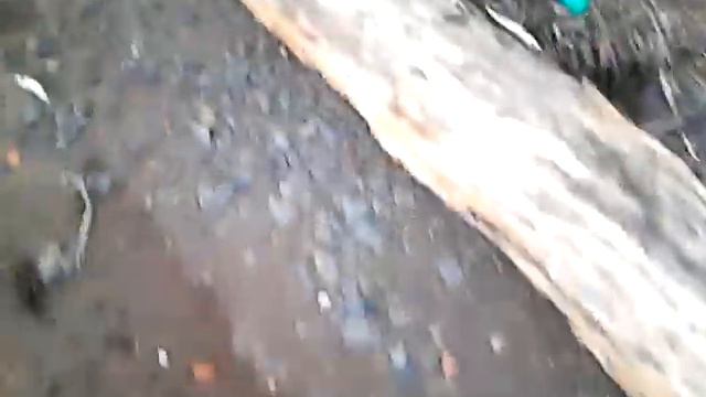 Ванино корюшка смотреть онлайн