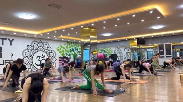 DAY-10 Hatha Dynamic Yoga Flexibility & Stretching | Master Ranjeet Singh Bhatia |
