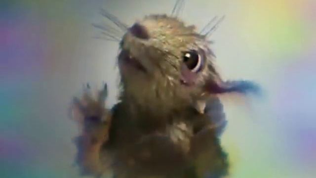 Скажена білка смотреть онлайн