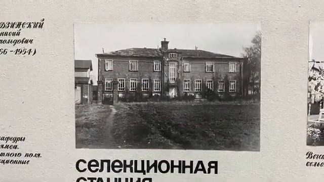 Музей Вавилова Тимирязевская академия (РГАУ-МСХА) смотреть онлайн