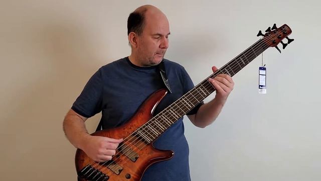 Are Fanned Fret Multiscale Basses Hard Or Weird To Play? Ibanez SRMS806 6 String Bass