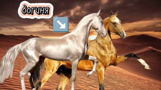 айц файф фифти фифти смотреть онлайн