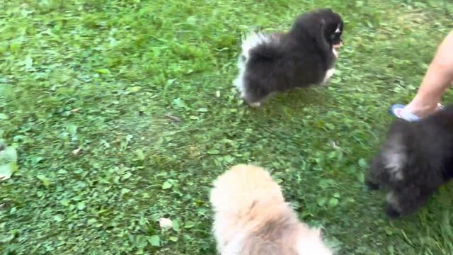 Секреты Креатива