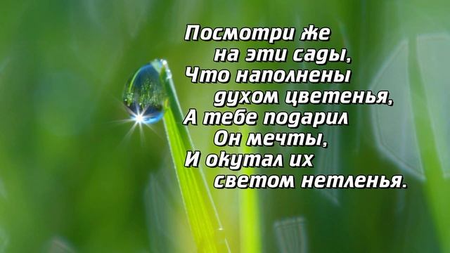 Гимн хвалы. Исполняет: Анжелика Вишня смотреть онлайн