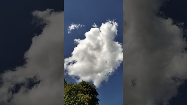Небо в монастыре с. Сахарна, Молдова смотреть онлайн