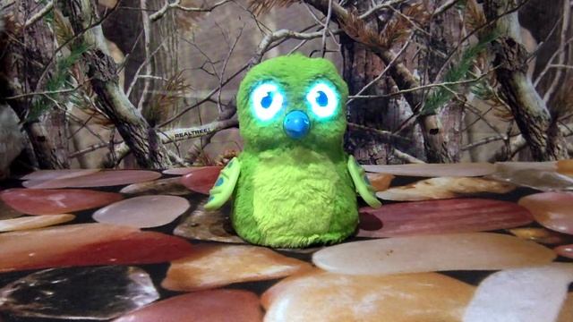 Hatchimals DRAGGLE in Furby Forest! смотреть онлайн