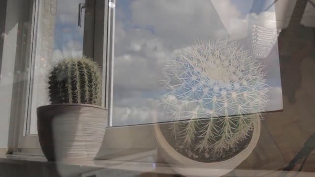 Gourski Springtime Cactus Meets Drum&Bass смотреть онлайн