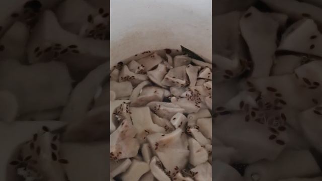 ГРУЗДИ ГОРЯЧИМ СПОСОБОМ ПО-НОВОМУ РЕЦЕПТУ смотреть онлайн