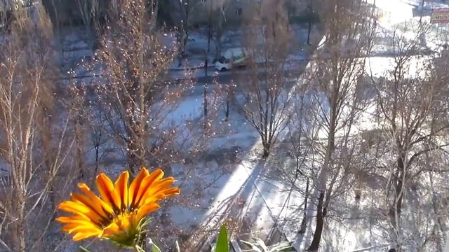 Зима Газания смотреть онлайн
