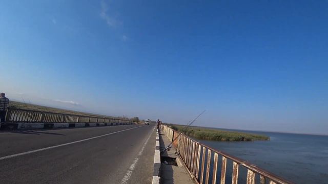 Окунь идет на живца. смотреть онлайн