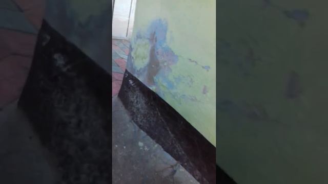 Обзор игры пряток смотреть онлайн