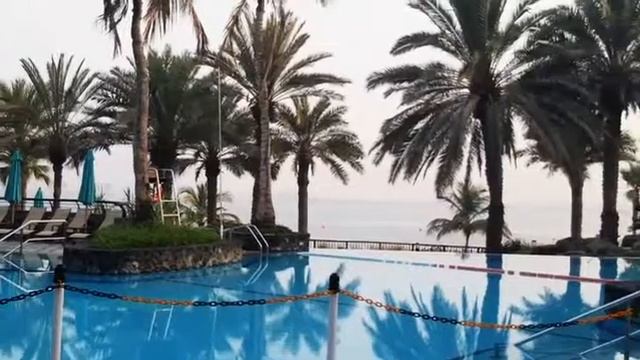 JA PALM TREE COURT смотреть онлайн