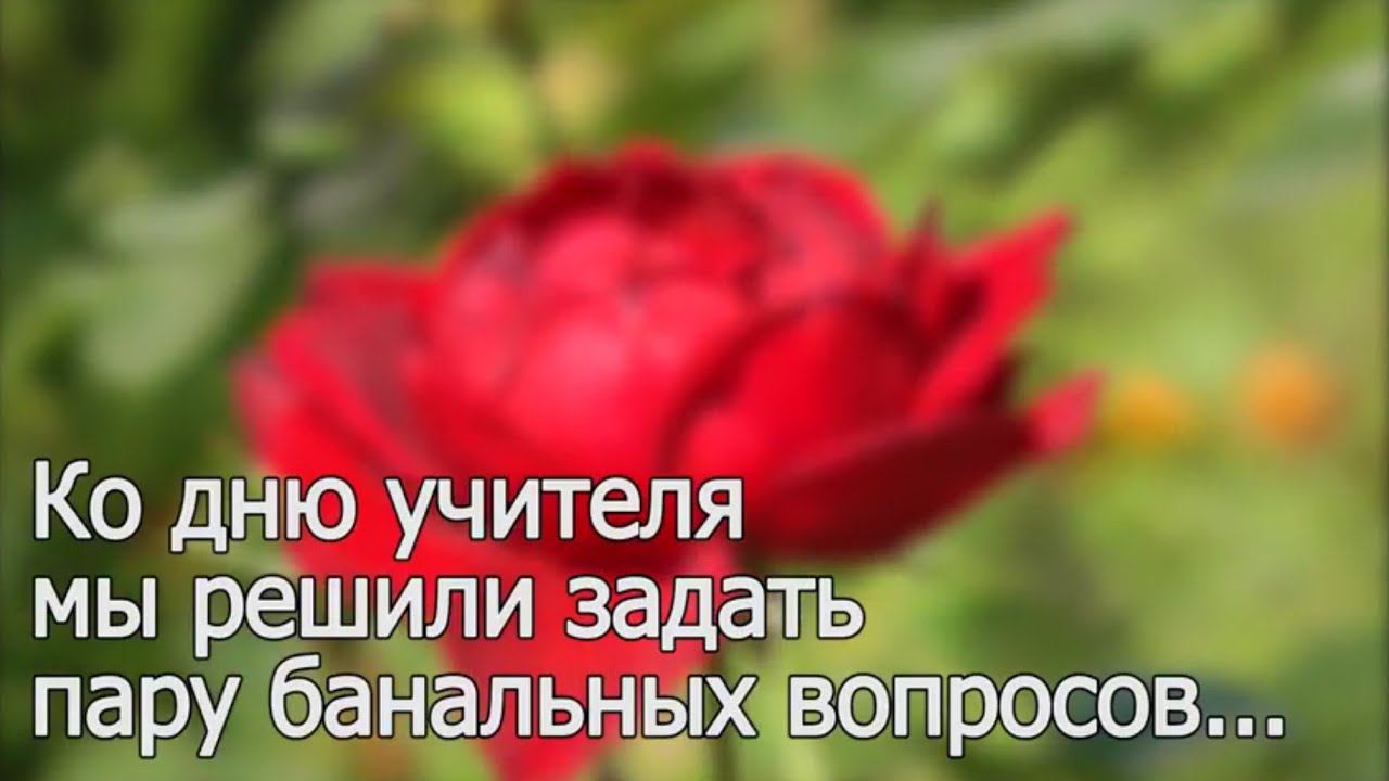 Вопросы учителям! смотреть онлайн