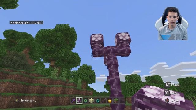 How to Plant CHORUS FRUIT in Minecraft смотреть онлайн