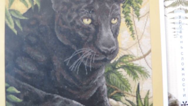 Вышивка крестом : Черный бархат джунглей смотреть онлайн