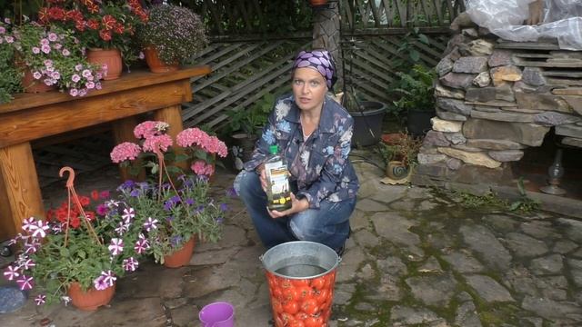 Стресс-панорама