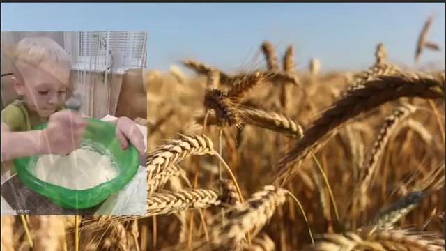 Вот он Хлебушек душистый! смотреть онлайн