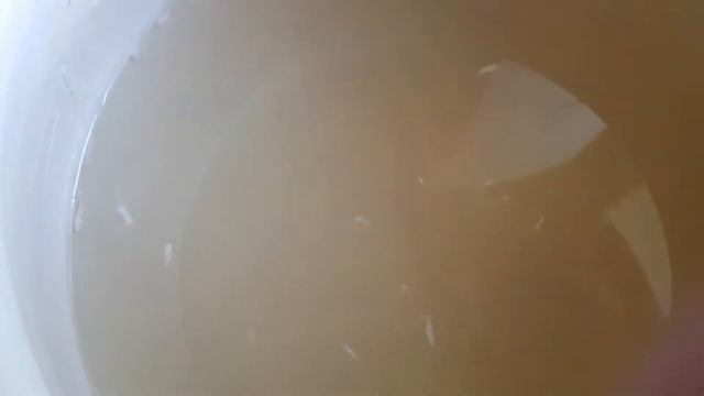 "ЗАСНЕЖЕННЫЕ" ПОМИДОРЫ смотреть онлайн