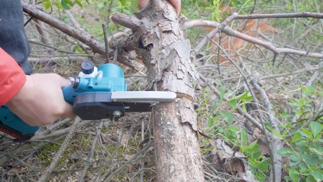 Yongkang Mullinsen Industry And Trade Co., LTD