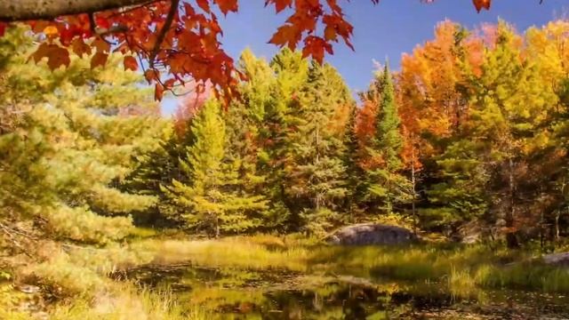 Поговори со мною, осень. ? ANiS - carlsonnd "Conversation" смотреть онлайн