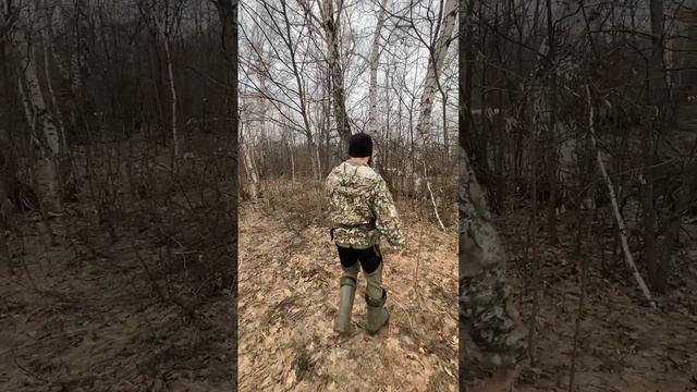 Мастерская Здорового Позвоночника