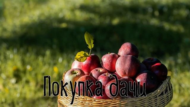 Покупка дачи смотреть онлайн