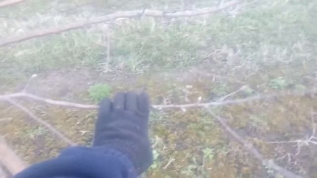 Как заставить яблоню плодоносить каждый год смотреть онлайн