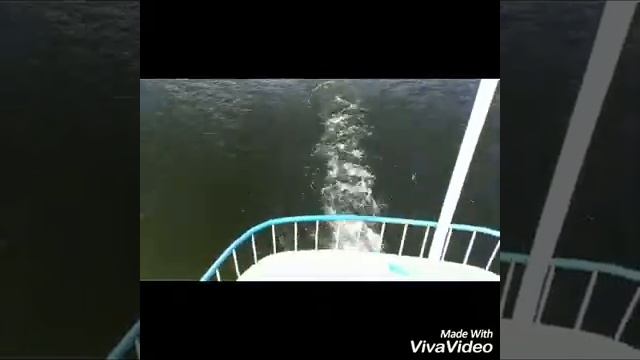 Поездка в Нугуш. Лето 2018. смотреть онлайн