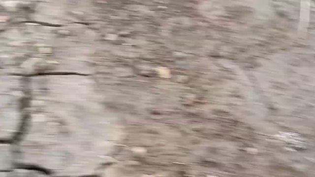 Sumitomo Dantotsu Clothianidin 50% WDG Insectisite सुमितोमो डेंटोट्सू क्या है। उपयोग कैसे करे। смотреть онлайн