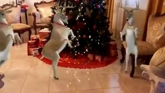 Танец маленьких оленят!! смотреть онлайн