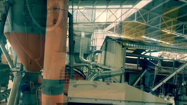 Fibras de agave azul promo смотреть онлайн