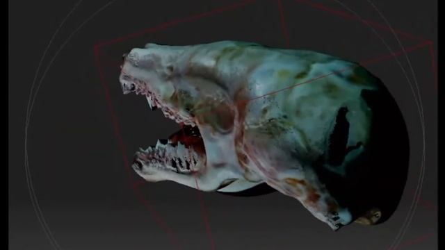 череп ежа и крота в 3D смотреть онлайн