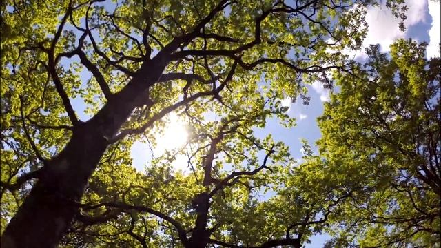 Случай, когда человеку придется ответить за ЧУЖИЕ грехи смотреть онлайн