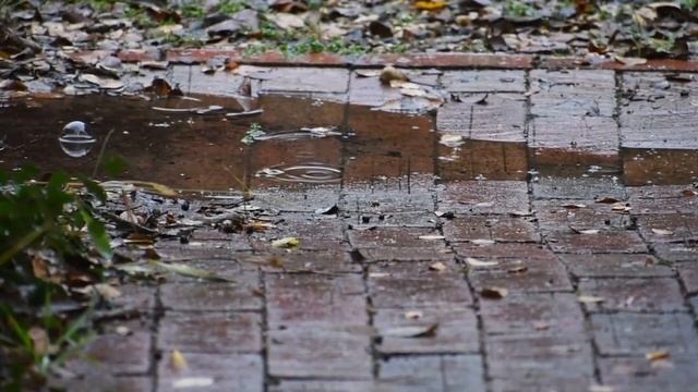 Rain Sounds For Sleeping - Beat Insomnia, Relax, Study, Reduce Stress смотреть онлайн