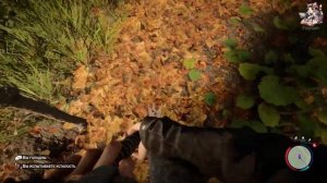 Где найти дробовик в Sons of The Forest