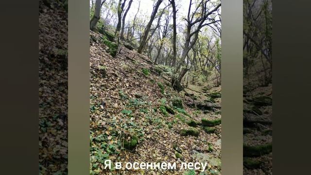 Осенние каникулы смотреть онлайн
