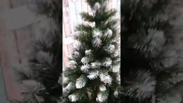 Ель "Карпатская" смотреть онлайн