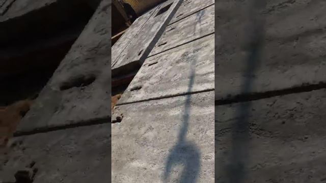 Дом в Черногубово (Часть 1) - СК Кедр (05.08.2019) смотреть онлайн