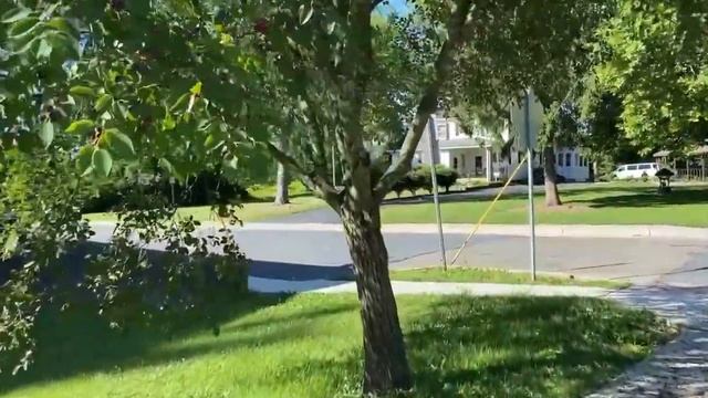 Amelanchier: tasty, plump June-berries! смотреть онлайн