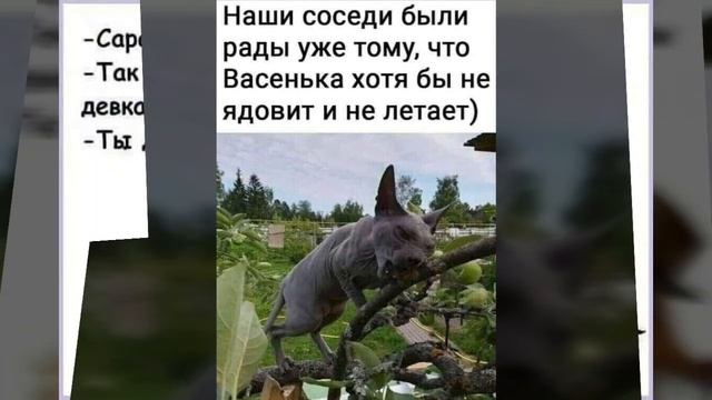 Позитив для друзей! Улыбайся, жизнью наслаждайся! / Усміхайся, з
життя прекрасне! / Smile! смотреть онлайн
