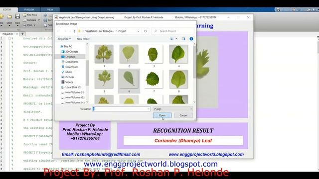 Vegetable Leaf Recognition Using Deep Learning Matlab Project With Source Code Vegetable Leaf Detec смотреть онлайн
