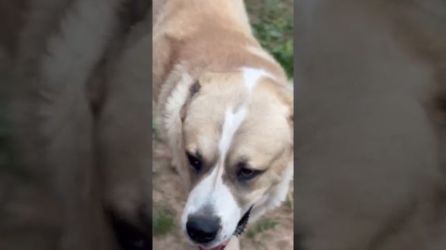 29 июня 2023 г. смотреть онлайн