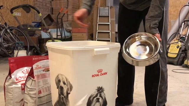 На соревнования с 3 собаками смотреть онлайн