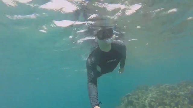 Snorkeling - Fort Arabesque - Egypt 2019 смотреть онлайн