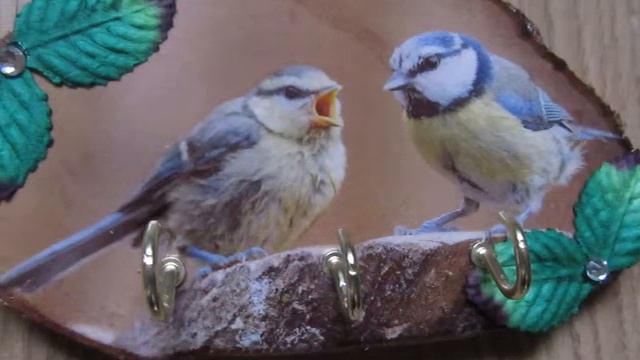 Key Hook Wall Decor - Blue Tit - DIY Keys Hooks - Picture On Wood смотреть онлайн